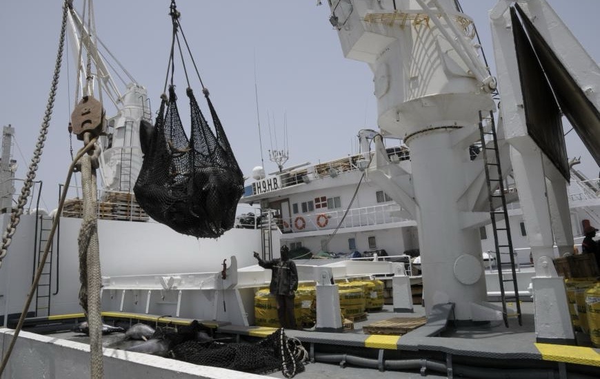 CRISE DANS LE SECTEUR DES PÊCHES : RISQUE DE CHÔMAGE À GRANDE ÉCHELLE , PLUS DE 1200 EMPLOIS DIRECTS MENACÉS