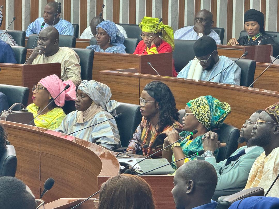 Saye Cissé interroge El Malick Ndiaye sur les insulteurs de la diaspora sénégalaise