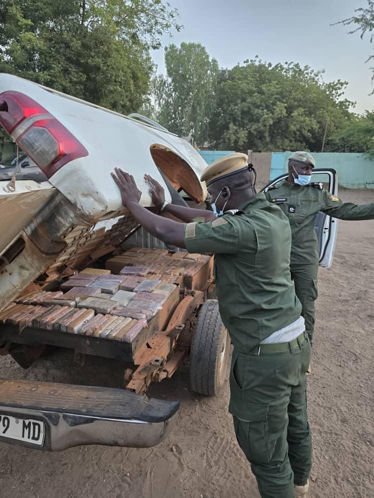 Lutte contre le trafic de drogue au Sénégal : Incinération de 2 605 kg de cocaïne à Rufisque