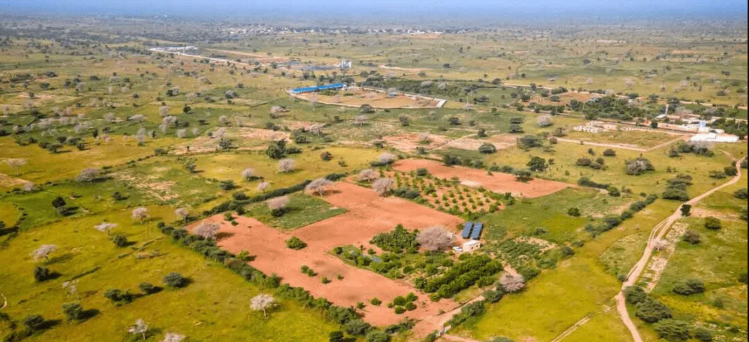 Gestion de l’Agropole Nord : de graves irrégularités révélées par la Section de recherche de Saint-Louis