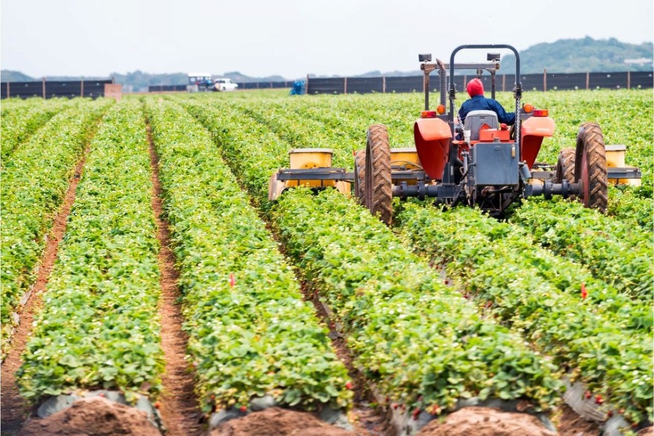 Kolda : un atelier régional pour promouvoir le « Matching Grant » et dynamiser les chaînes de valeur agricoles