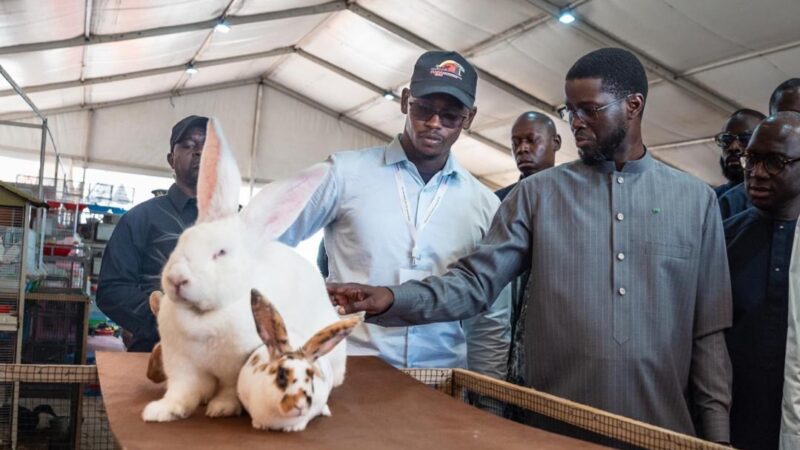 FIARA 2026 : Bassirou Diomaye Faye réaffirme l’engagement pour la souveraineté alimentaire