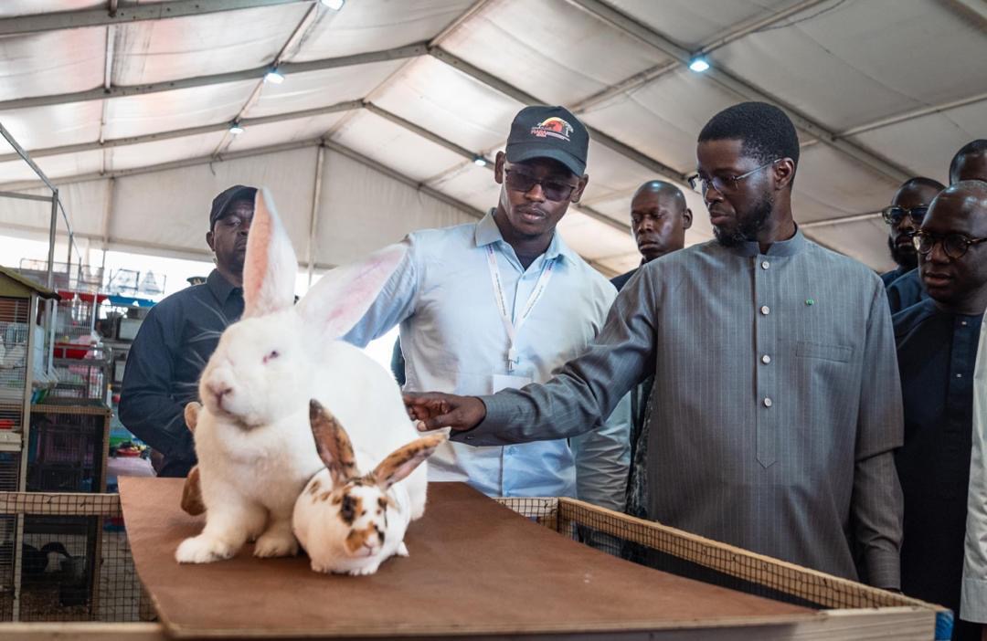 FIARA 2026 : Bassirou Diomaye Faye réaffirme l’engagement pour la souveraineté alimentaire
