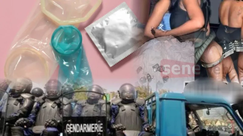 Saly : un réseau de proxénétisme démantelé, trois femmes interpellées