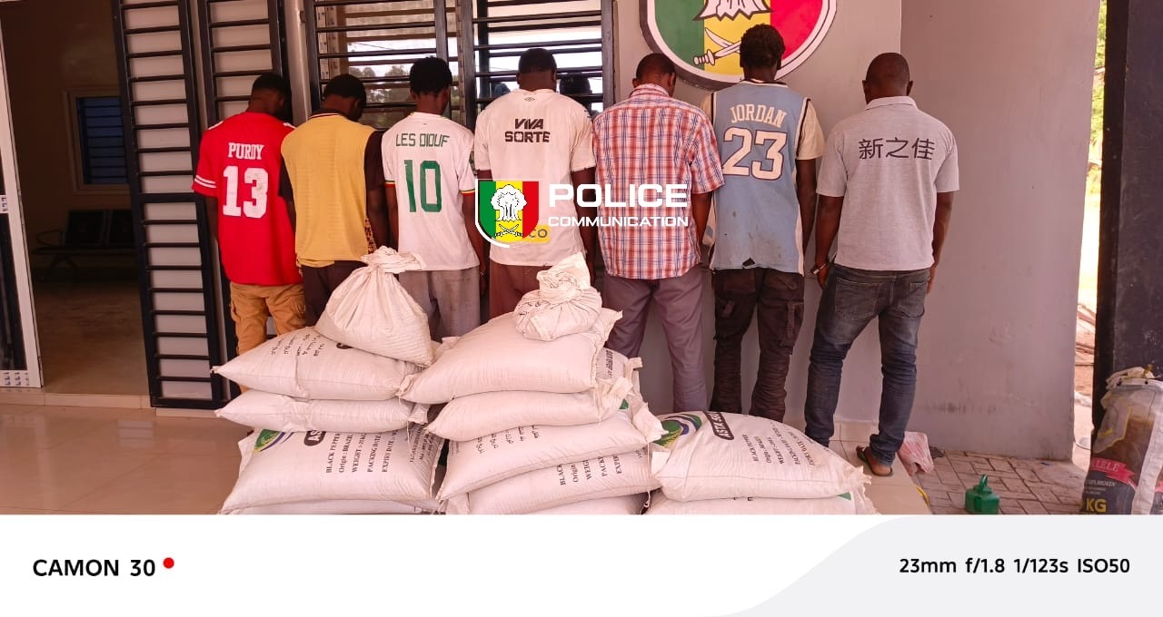 Insécurité à Bignona : Huit membres d&rsquo;un réseau de vol de poivre sous les verrous