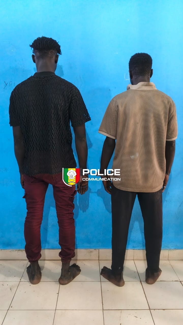 Interpellation de deux individus pour vols de batteries de véhicules en série.