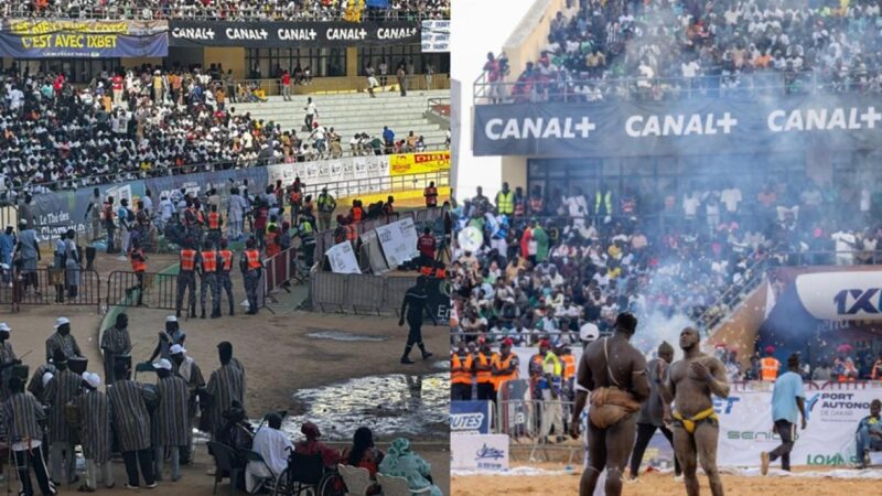 Lutte sénégalaise : derrière l’entrée de Canal+, les enjeux d’une bataille médiatique mondiale