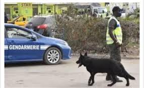 Scandale à Saint-Louis : La Brigade de Recherches démantèle une « mafia du sexe » active depuis 6 ans