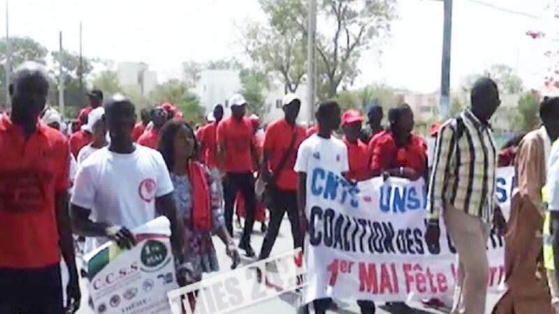 Thiès : les ouvriers locaux interpellent l’État pour renforcer l’emploi des jeunes
