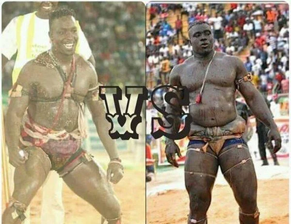 Sa Thiès vs Siteu : le combat royal finalement ficelé par Albourakh Events